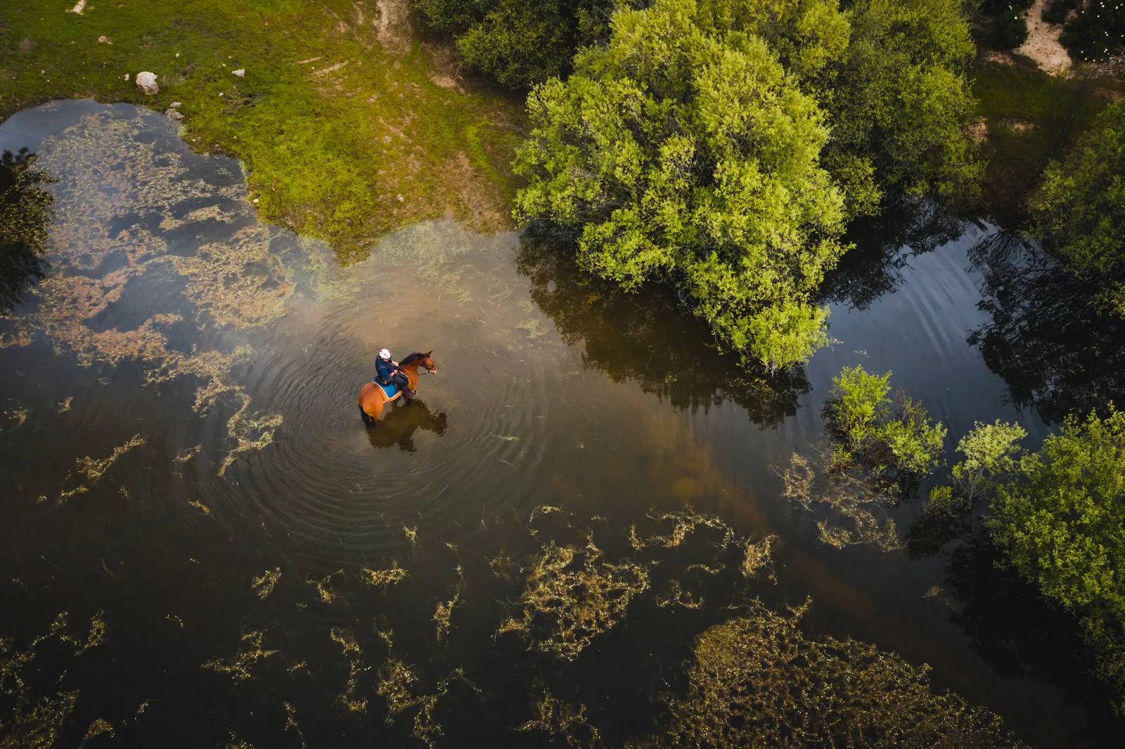 Fotografía aérea de una laguna rodeada de arbolado. MAC Estudio