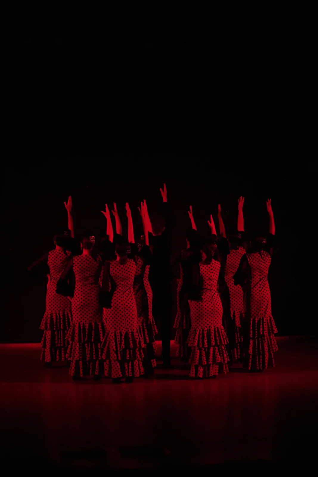 Fotografía de evento bailes. MAC Estudio